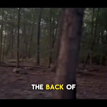 There are more questions than answers here...