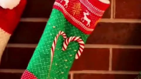 🎄🐾 I Tried a Christmas Stunt With My Pet… This Was NOT the Plan 😂❄️