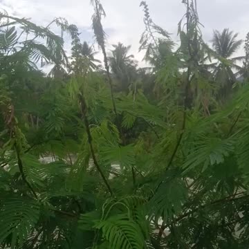 Citarik River rafting