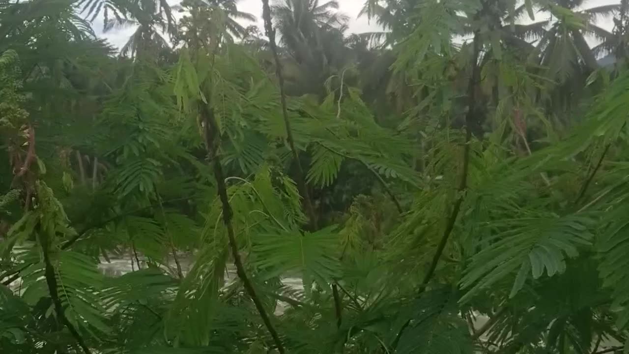 Citarik River rafting