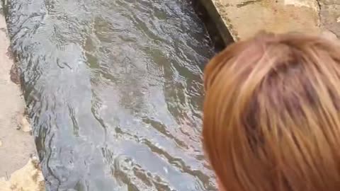 OMG🤣