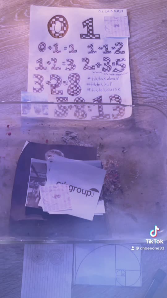 Tim Rifat TikTok Videos