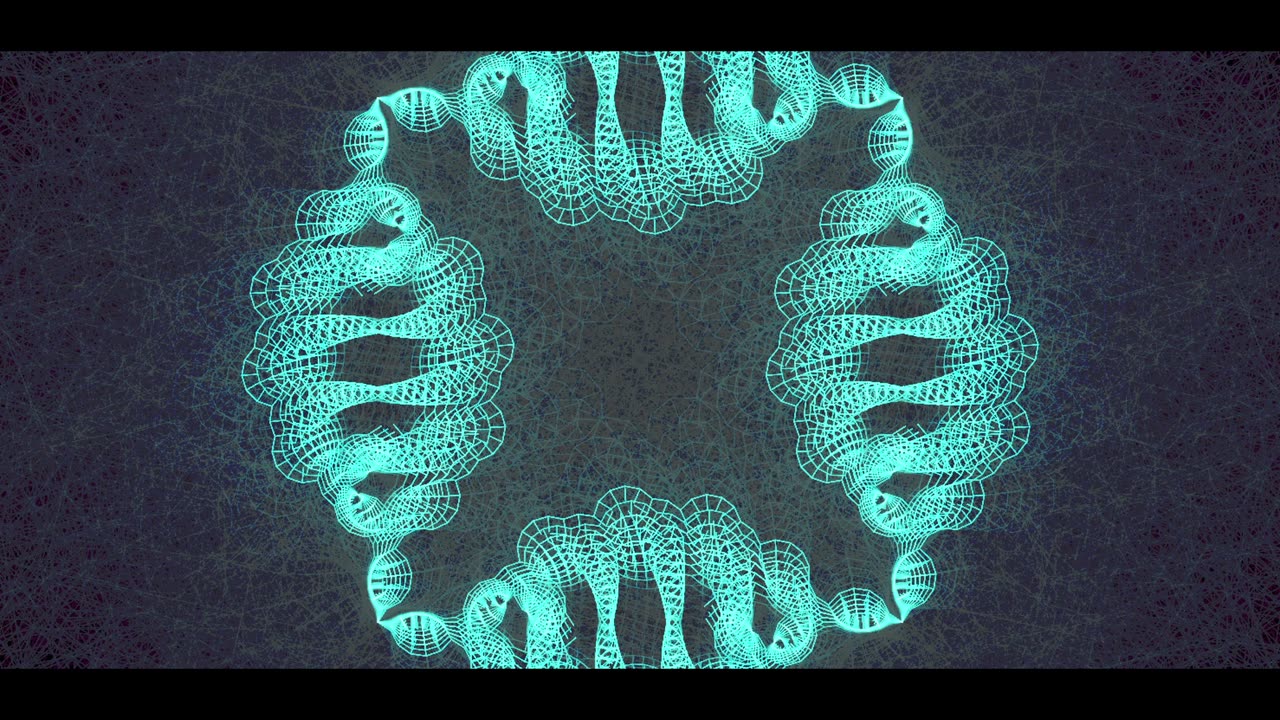 Widespread Panic Vol. 4