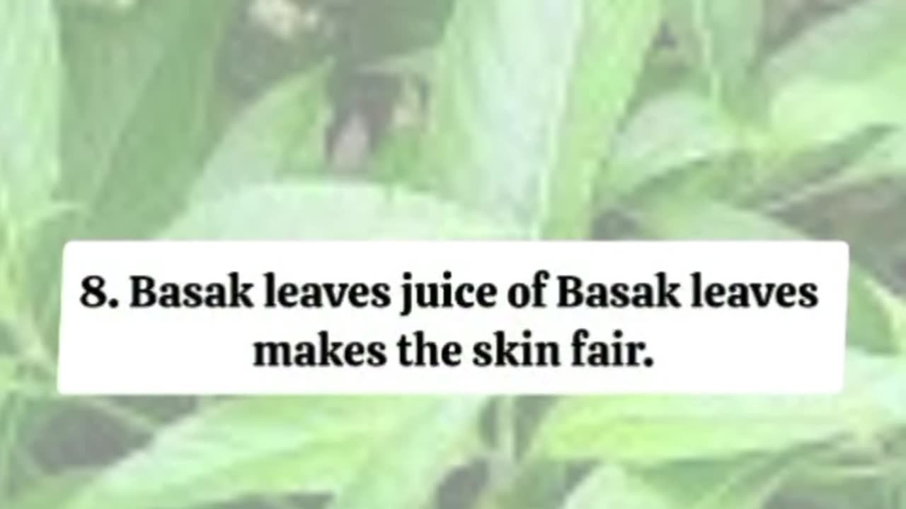 8 benefits of eating Basak leaves