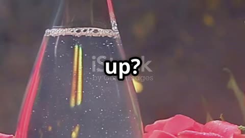 If ‘Soft Glam’ Were a Scent 💅