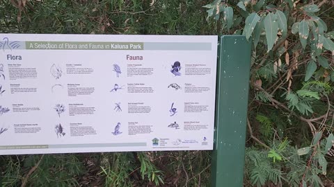 Kaluna Park Bushland Walk-Wangaratta Vic