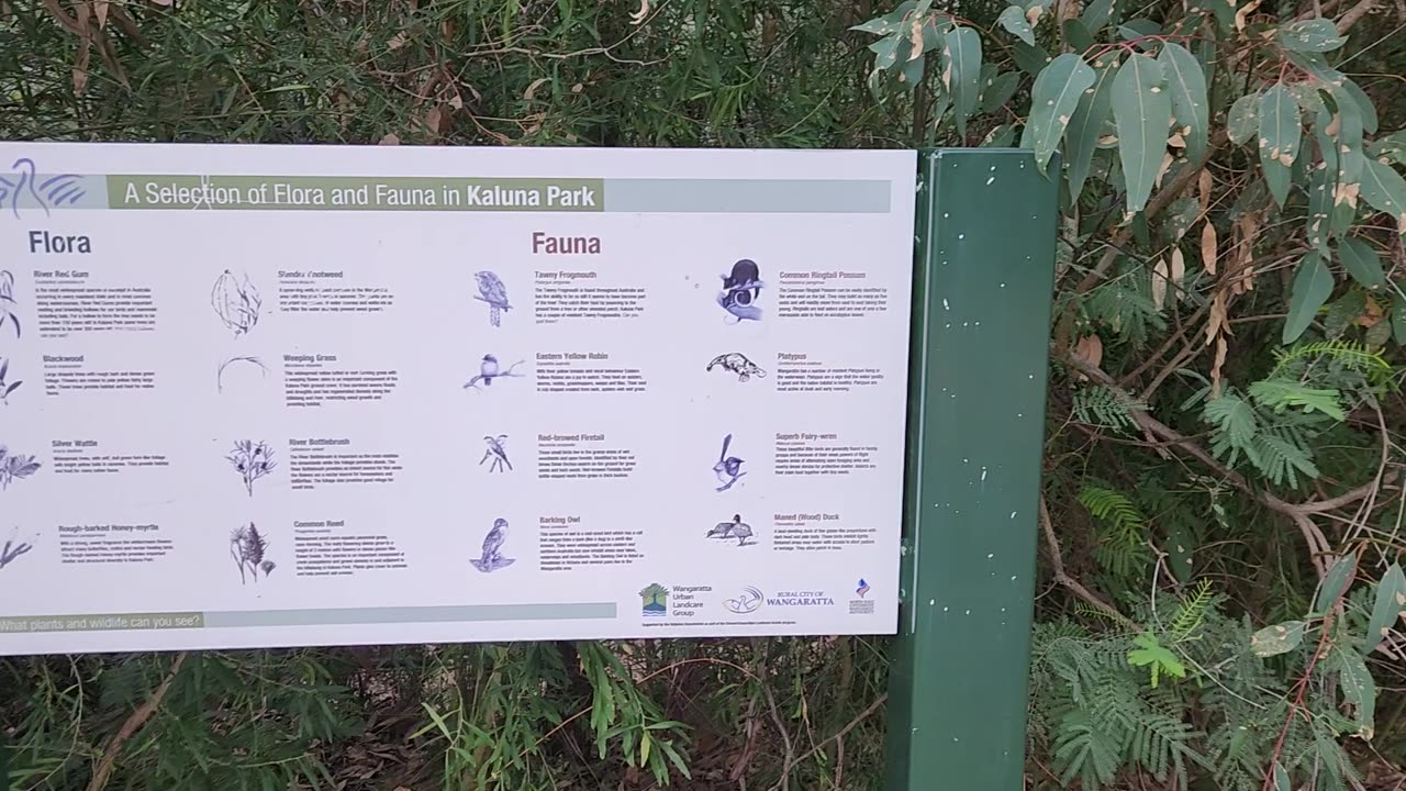 Kaluna Park Bushland Walk-Wangaratta Vic