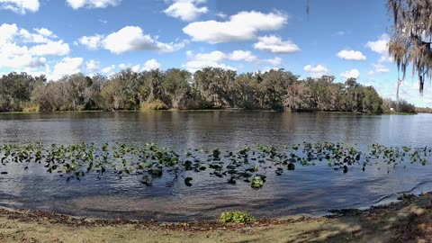 Riverview Time-Lapse: St. John’s Tranquil Tides (Jan 23, 2026)