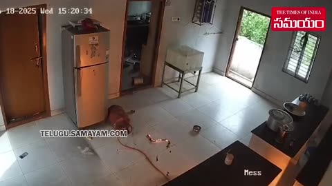 Major Blast Averted as Woman_s Quick Action Saves Home from Gas Leak Explosion __