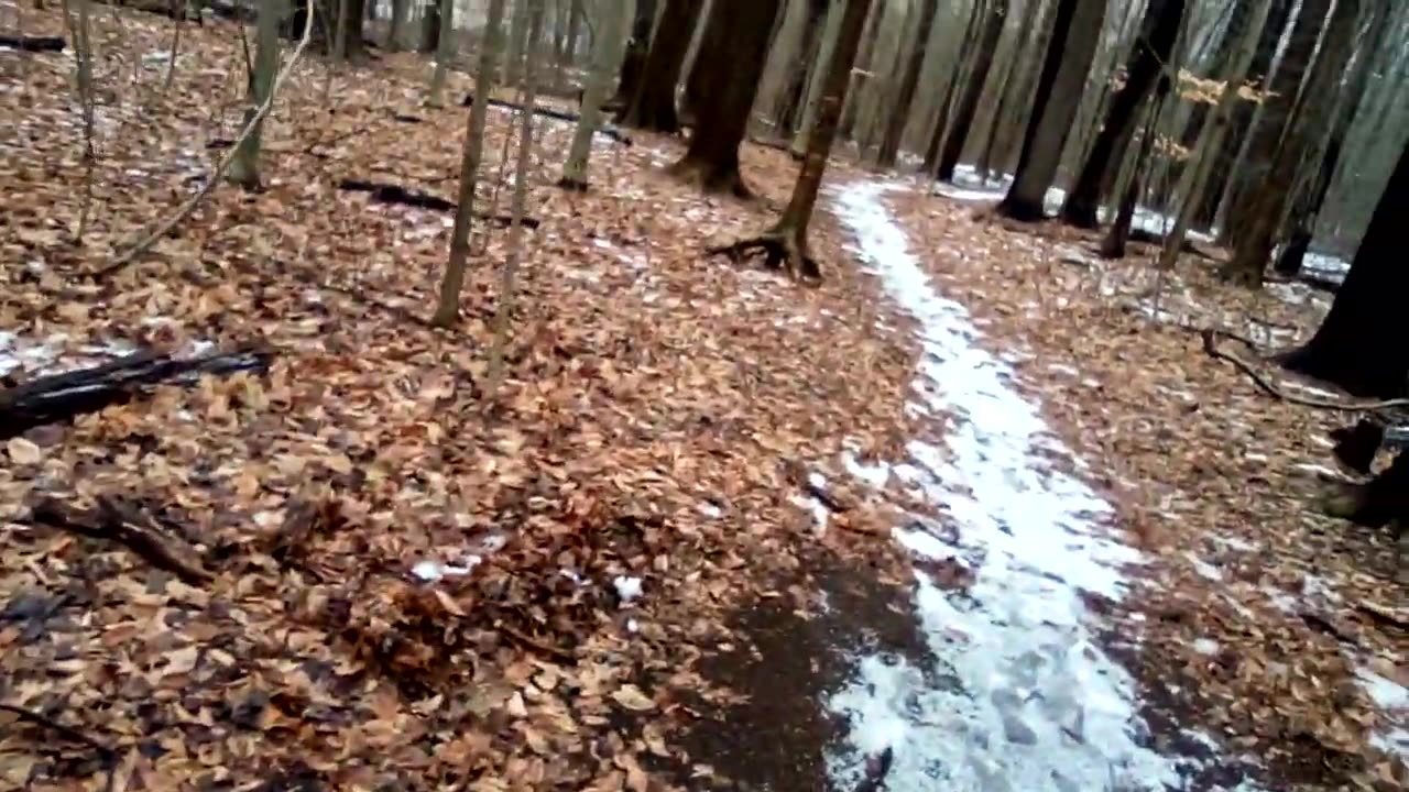 Todd Thundercock: 2020 Year in Review_ My successes, failures, things I learned, surprises. Rambli.
