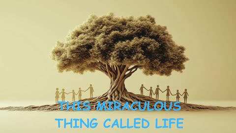 🌞THIS MIRACULOUS THING CALLED LIFE ~Jared Rand’s Global Guided Meditation Call 11-15 -25.