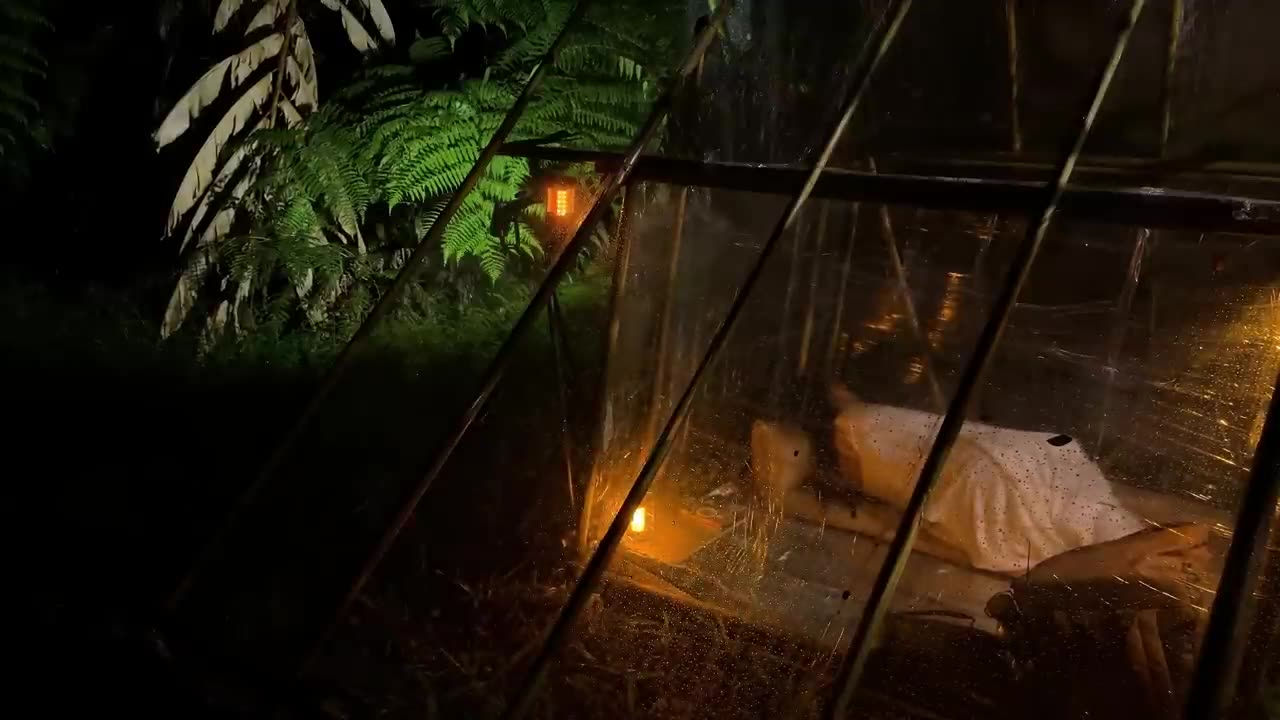 Camping deep in the forest, a day of camping and relaxing by rain