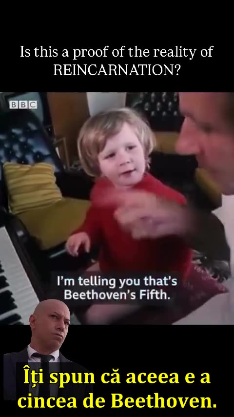 Could this be considered evidence of the reality of reincarnation