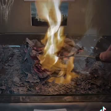 Tim Rifat TikTok Videos