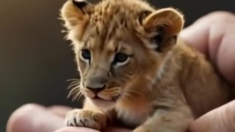 Tiny Animals | Cute Animals | Tiny #viralvideo #shortvideo #trendingshorts #ai #shorts #trollface