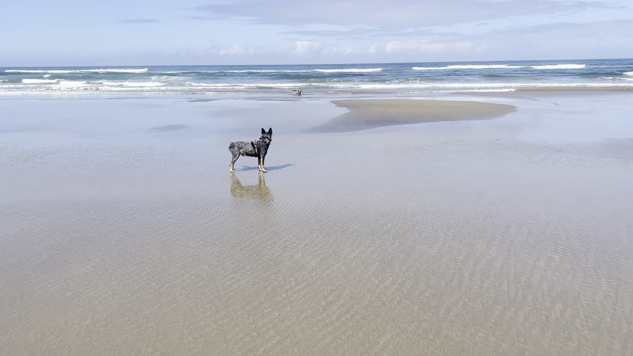 fun at the beach 3209842309824098