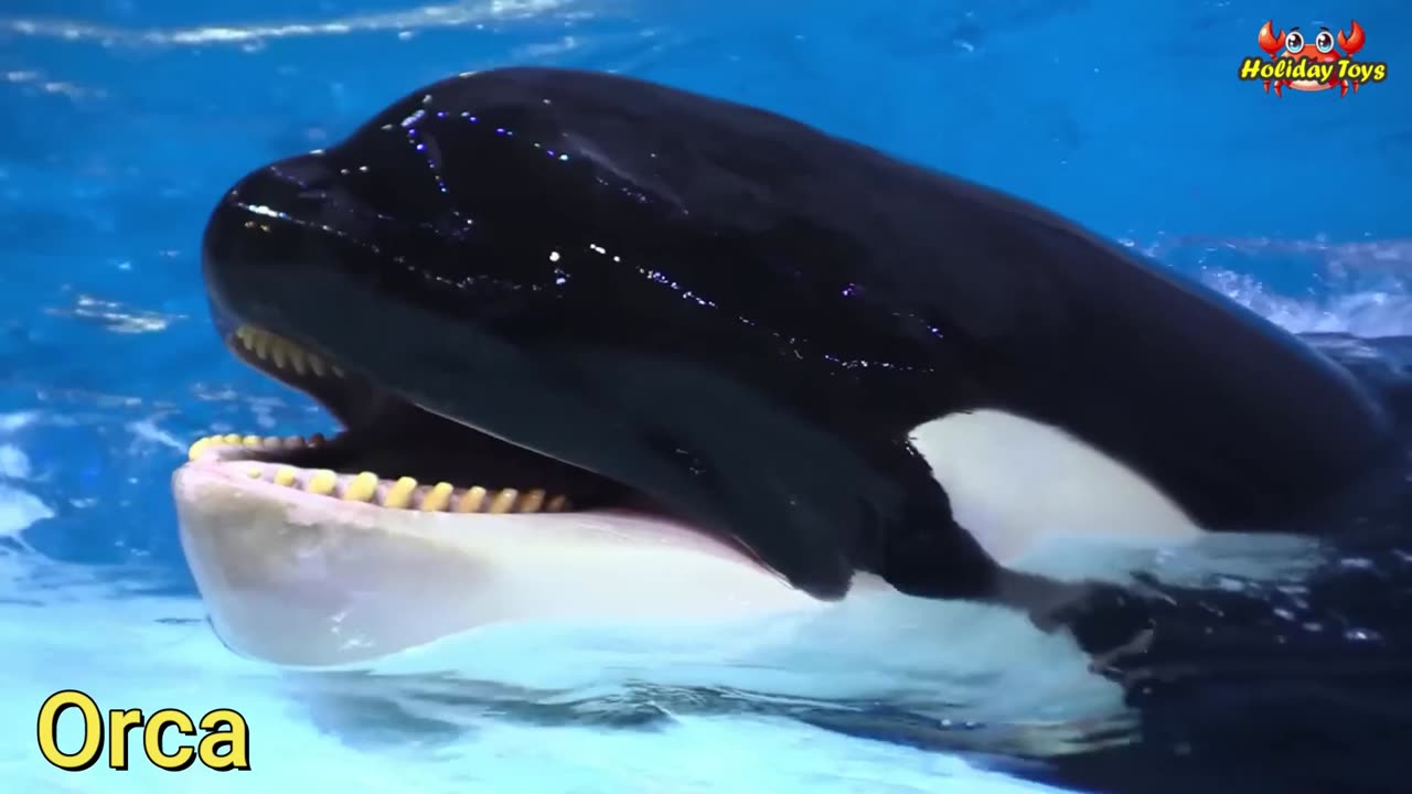 Ferocious Crocodiles Remain Motionless Waiting for Deer Drinking in the River