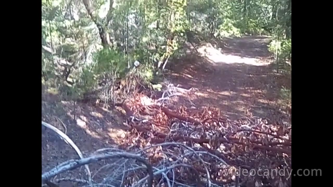 Bigfoot blocks off trail to remote cabin