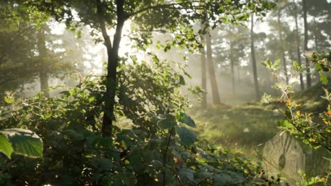 "The best way to predict the future is to create it."