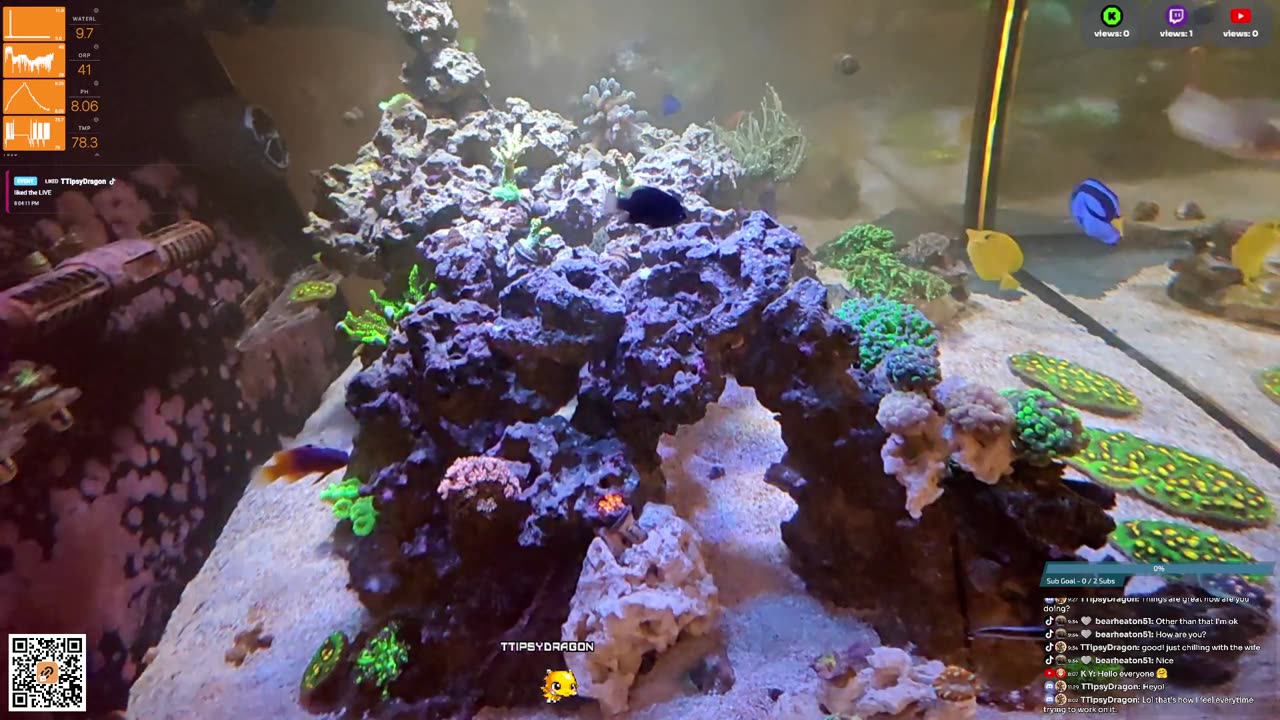 24/7 Real Live Reef Stream