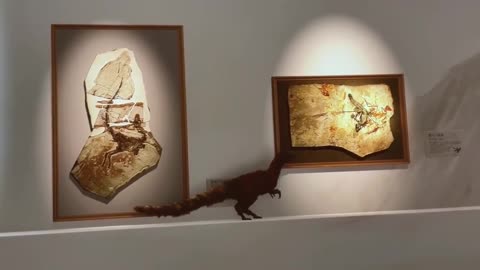 🤯✨ Stunning Use of Projection Mapping! | FeedMyCuriosity
