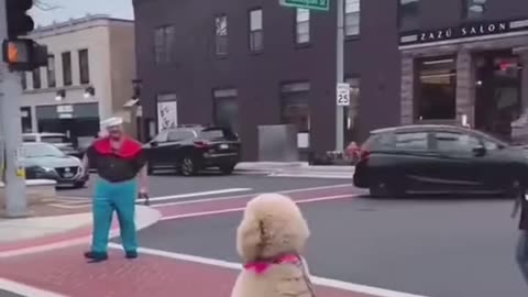 dog behaviour like human !! S2studio !!