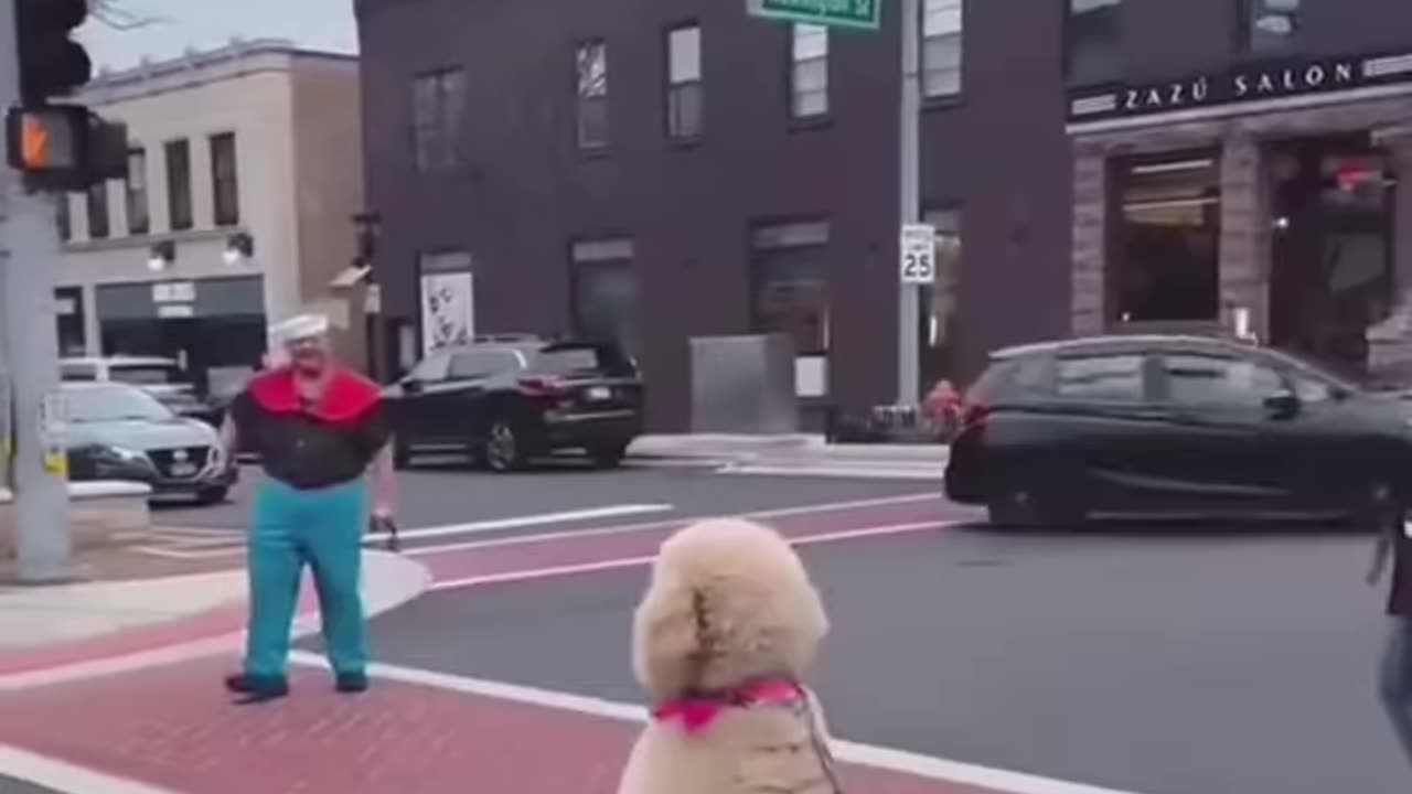 dog behaviour like human !! S2studio !!