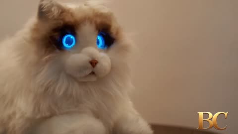 These robot cats have glowing eyes and artificial heartbeats
