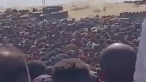 The Palestinian food aid death trap courtesy Israel and USA