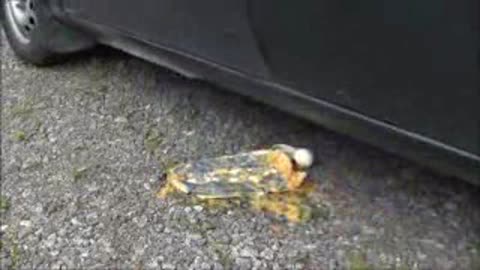 Running Over an Egg Carton