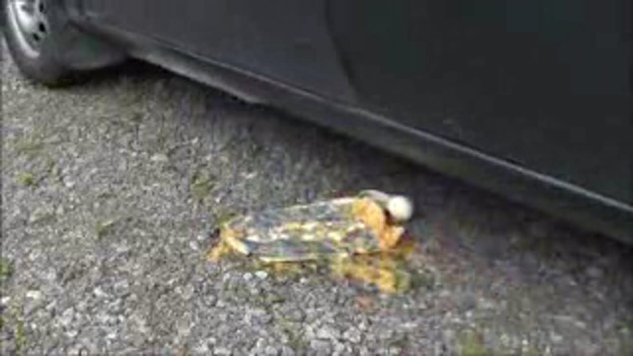 Running Over an Egg Carton