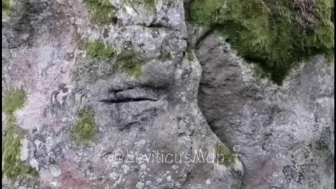 “世界揭露37地球之謎01”看看深山中許多神秘的石像，到底發生了什麼事？讓這一切，像被重置過了一般！細看“石化巨人”～