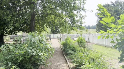 The Hermitage, Pres Andrew Jackson’s gravesite. June 4, 2025