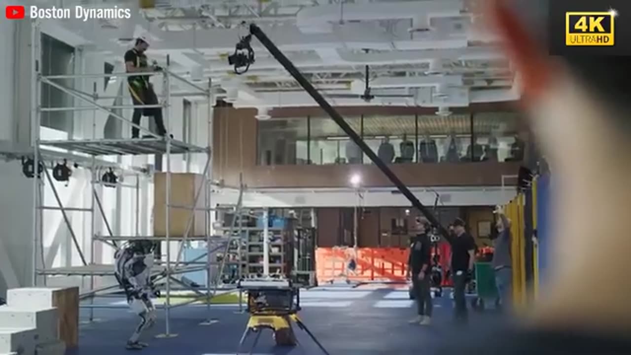 Tesla robot
