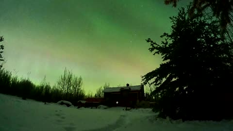Northern lights shimmer in rare display over Canada's Yukon