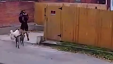 😮😯 Hombre proteje a su amigo.🙂🙂
