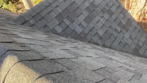 Cleaning the the leaves off my roof