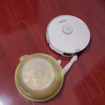 Undercover cat.. 😂