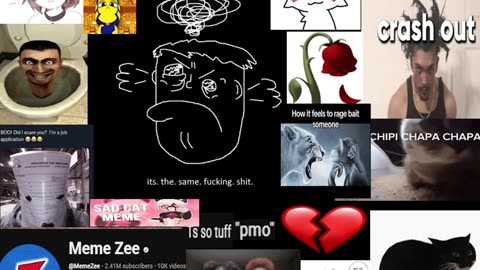 i hate modern memes.