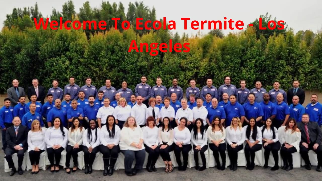 Ecola Termite | Best Pest Control in Los Angeles, CA