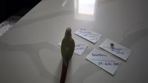 Rio Predicts Winner Between Brewers vs Blue Jays 2025-08-29