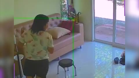 Witness the Power of the World’s Most Lethal Predators 🐅🔥