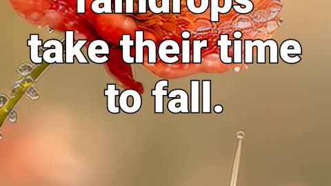 Slow down — even raindrops take their time to fall #motivational #stressrelief #anxietymanagement