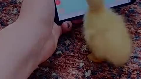 Kindness can save a life