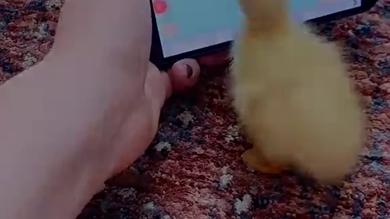 Kindness can save a life