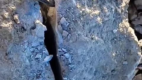 ‼️This was Found in a 500,000,000 year old Dolostone ROCK?!‼️ More Rocks.. #shorts