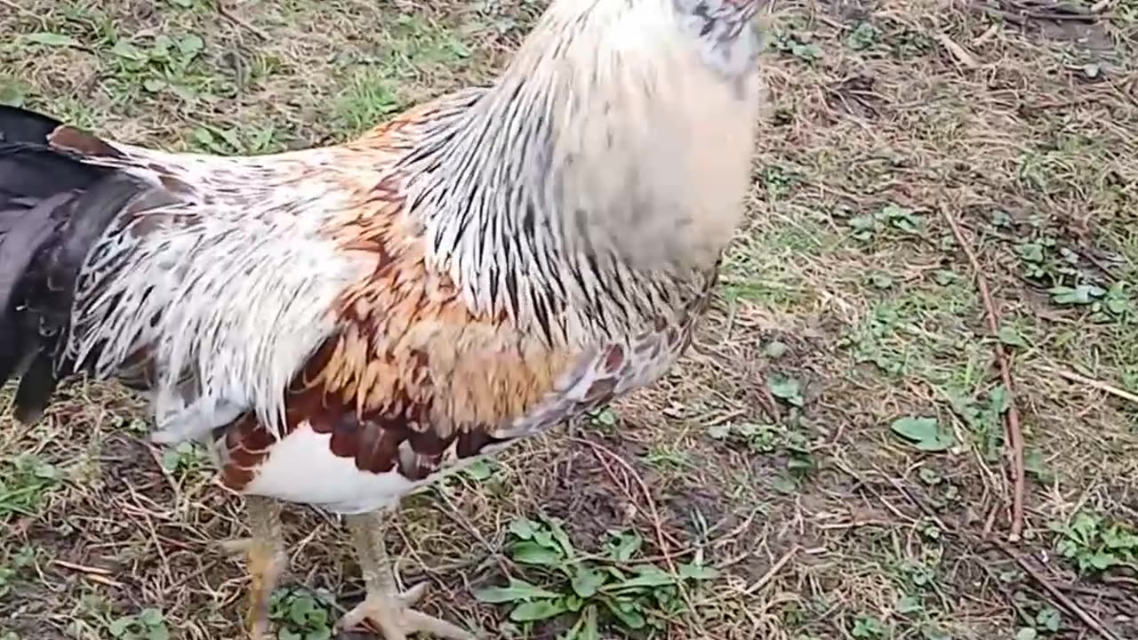 Cleaning up my neighborhood Day 2