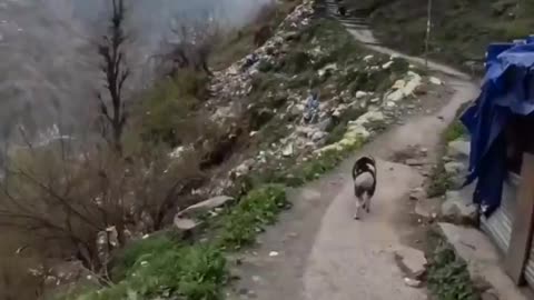 Even The Mountains Are Ruined