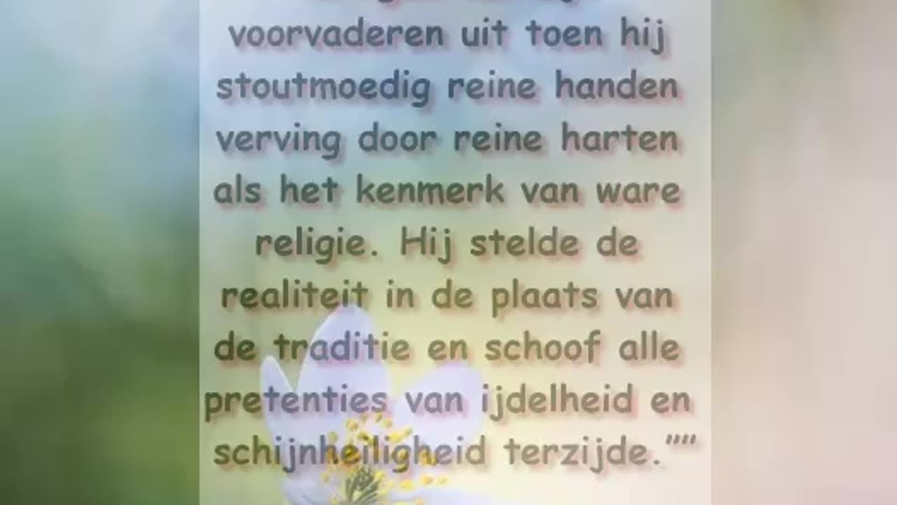 Schone Harten
