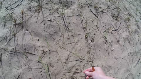 pov: you like to clean the beach